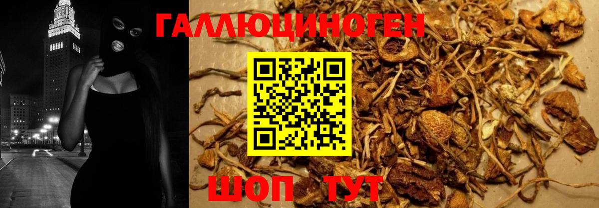 Псилоцибиновые грибы Magic Shrooms Жигулёвск